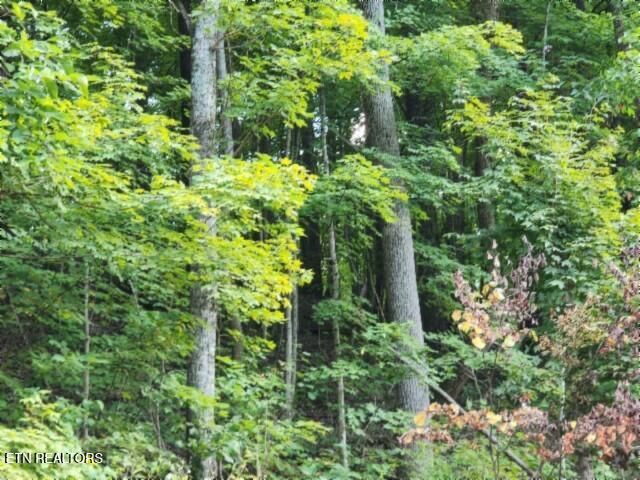 Lot 41 Apache Rd, Jamestown, TN 38556