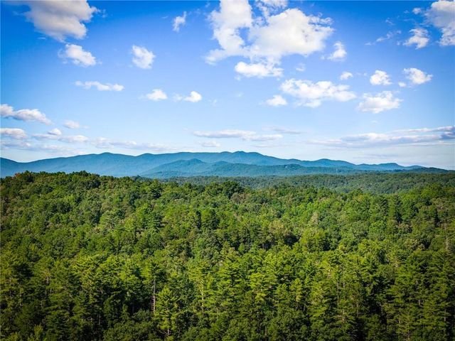 107 Fish Tale Cove, Ellijay, GA 30540
