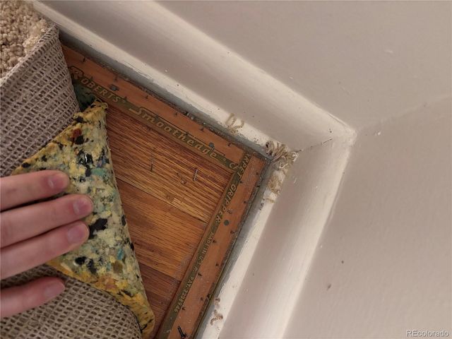 7798 Quivas Street, Denver, CO 80221