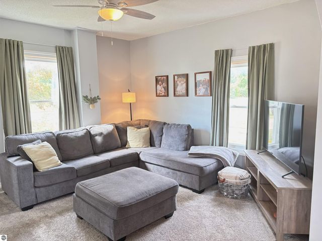 3691 E Rosebush Road, Rosebush, MI 48878