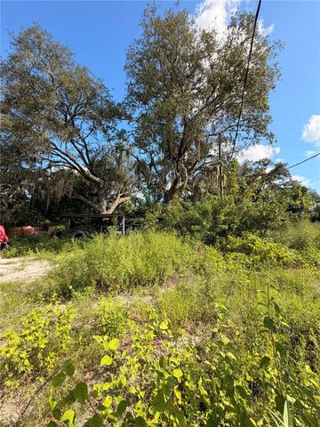 11665 TIMBER RIDGE DRIVE, Tampa, FL 33625