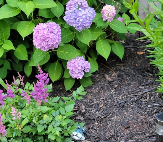 6789 401st Street, North Branch, MN 55056