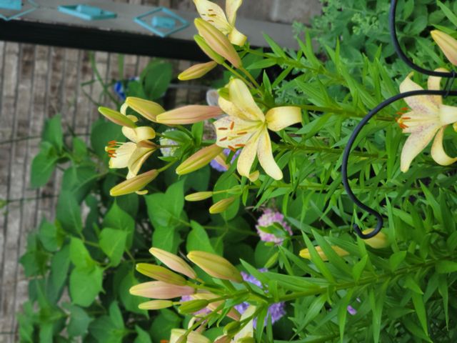 6789 401st Street, North Branch, MN 55056