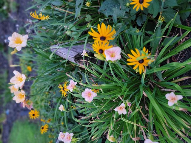 6789 401st Street, North Branch, MN 55056