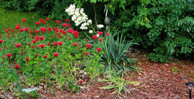 6789 401st Street, North Branch, MN 55056