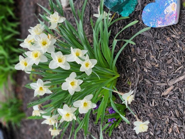 6789 401st Street, North Branch, MN 55056