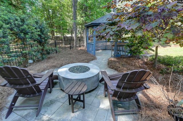 100 Pointe Overlook Drive, Chapin, SC 29036
