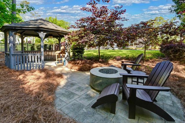 100 Pointe Overlook Drive, Chapin, SC 29036