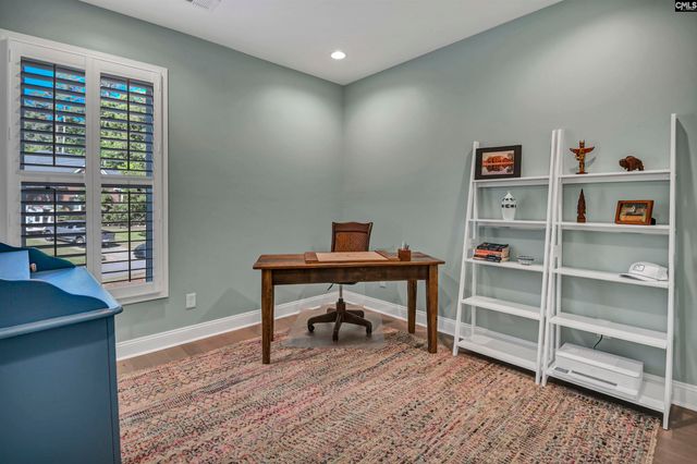 100 Pointe Overlook Drive, Chapin, SC 29036