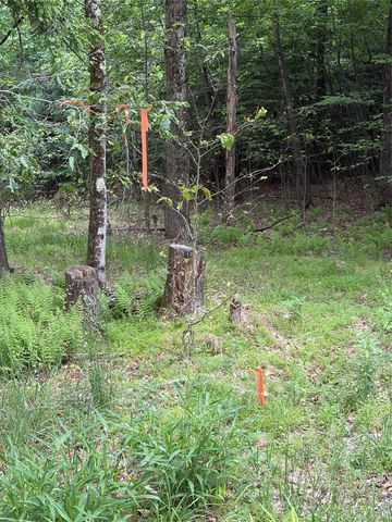 651 Creamery Road, Bethel, NY 12701