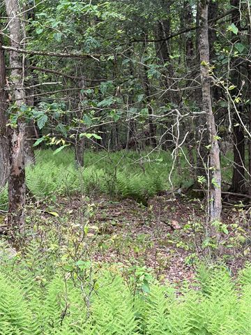 651 Creamery Road, Bethel, NY 12701