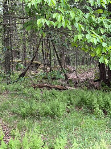 651 Creamery Road, Bethel, NY 12701