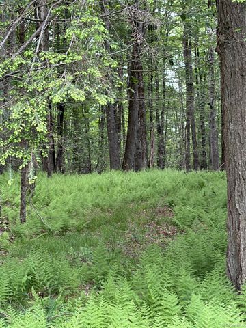651 Creamery Road, Bethel, NY 12701