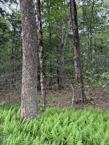 651 Creamery Road, Bethel, NY 12701