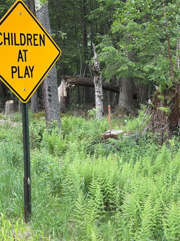 651 Creamery Road, Bethel, NY 12701