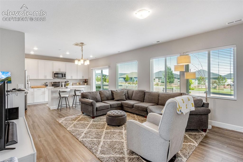 10015 Poppy Mallow Point, Colorado Springs, CO 80924 — photo 2