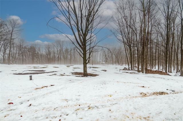 4 Lewis Lane, Bloomingburg, NY 12721