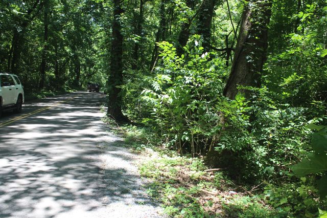 3978 Dry Fork Rd, Whites Creek, TN 37189