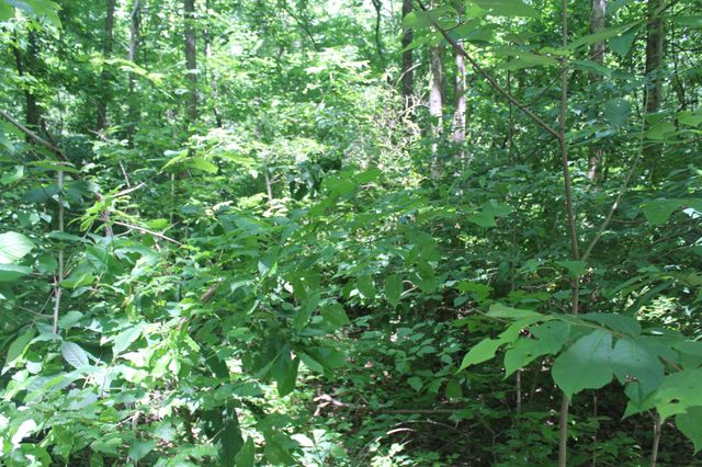 3978 Dry Fork Rd, Whites Creek, TN 37189