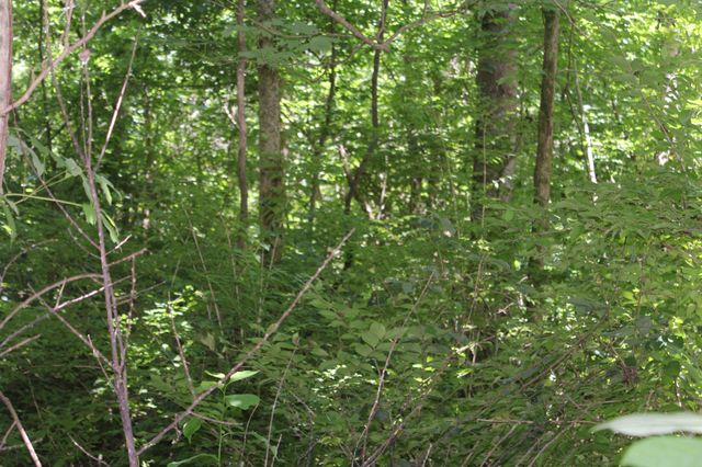 3978 Dry Fork Rd, Whites Creek, TN 37189