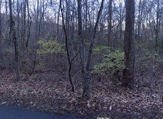 3978 Dry Fork Rd, Whites Creek, TN 37189