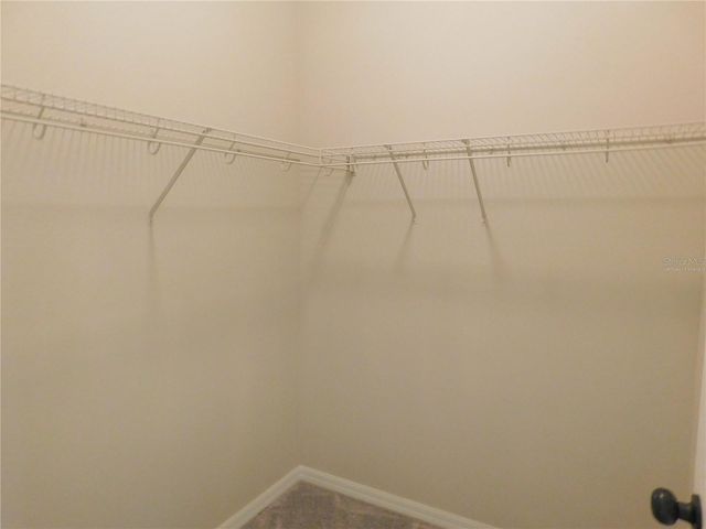 12902 CATTAIL SHORE LANE, Riverview, FL 33579