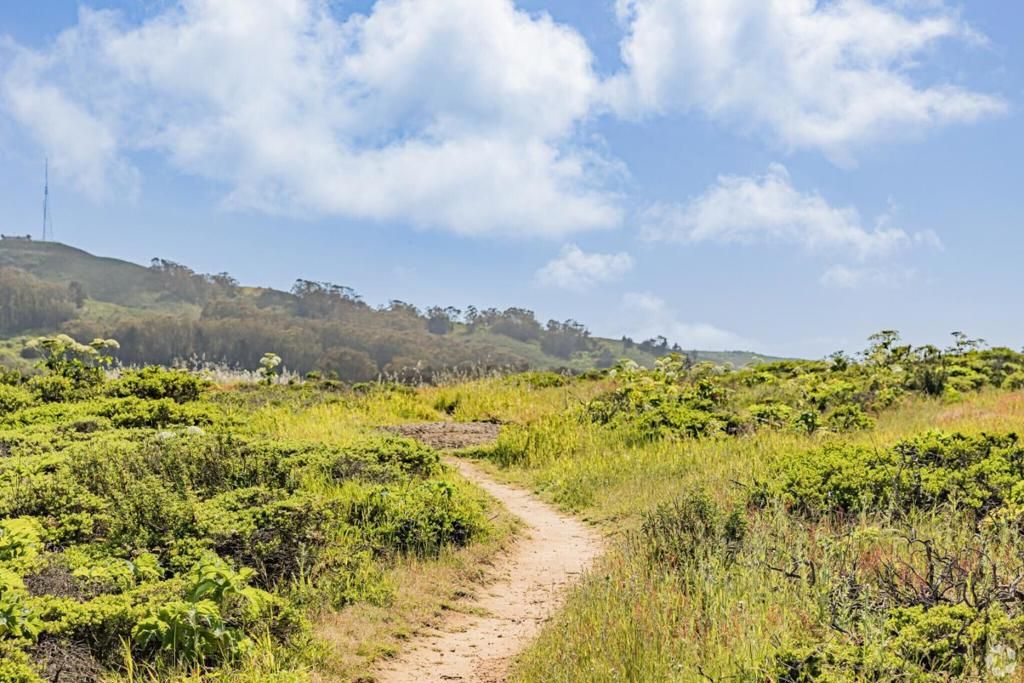Image 99 of property listing at 188 Santa Barbara Avenue, Daly City, CA 94014
