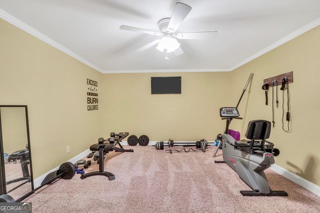 106 Big Cotton Trail, Mcdonough, GA 30252