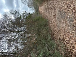 0 Barbara S Lane, Lumberton, MS 39455
