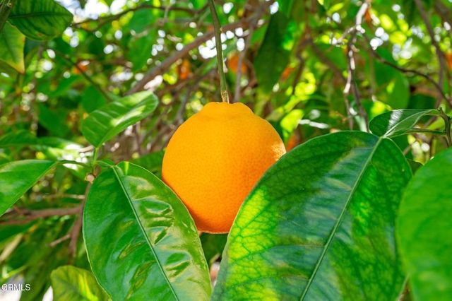 1000 Foothill Drive, Fillmore, CA 93015