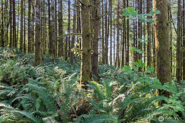 0 Eloah Way, Centralia, WA 98531