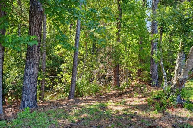 123 Bluelake Boulevard, Pooler, GA 31322