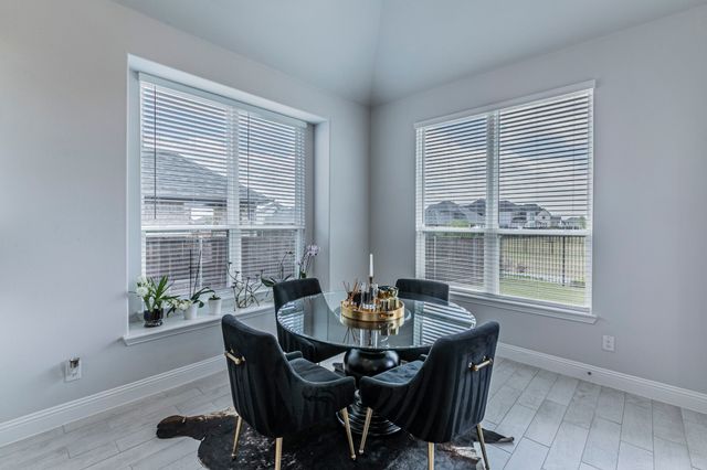 1301 Castiglione Lane, Anna, TX 75409