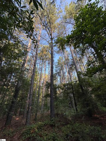890 Dunklin Bridge Road, Fountain Inn, SC 29644