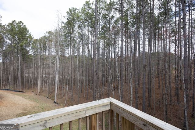 592 Willow Springs Drive, Dallas, GA 30132