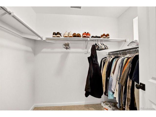 17396 Hop Clover Ave, Parker, CO 80134