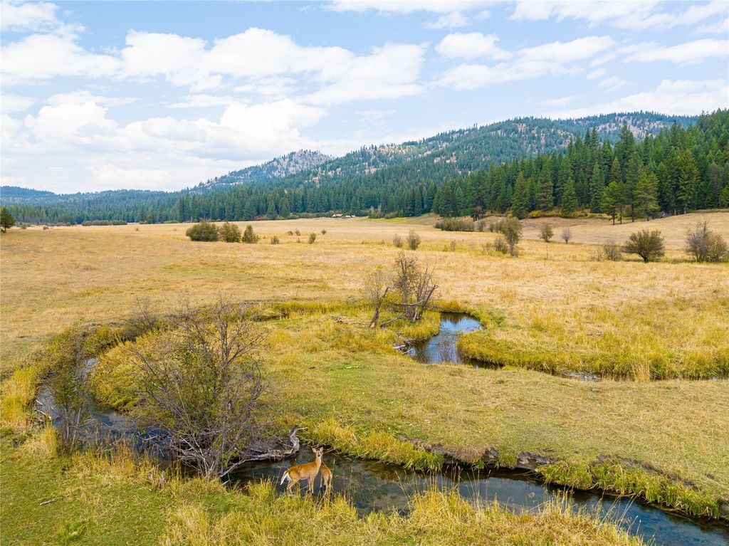 6820 E Fisher River Road, Libby, MT 59923 photo 21