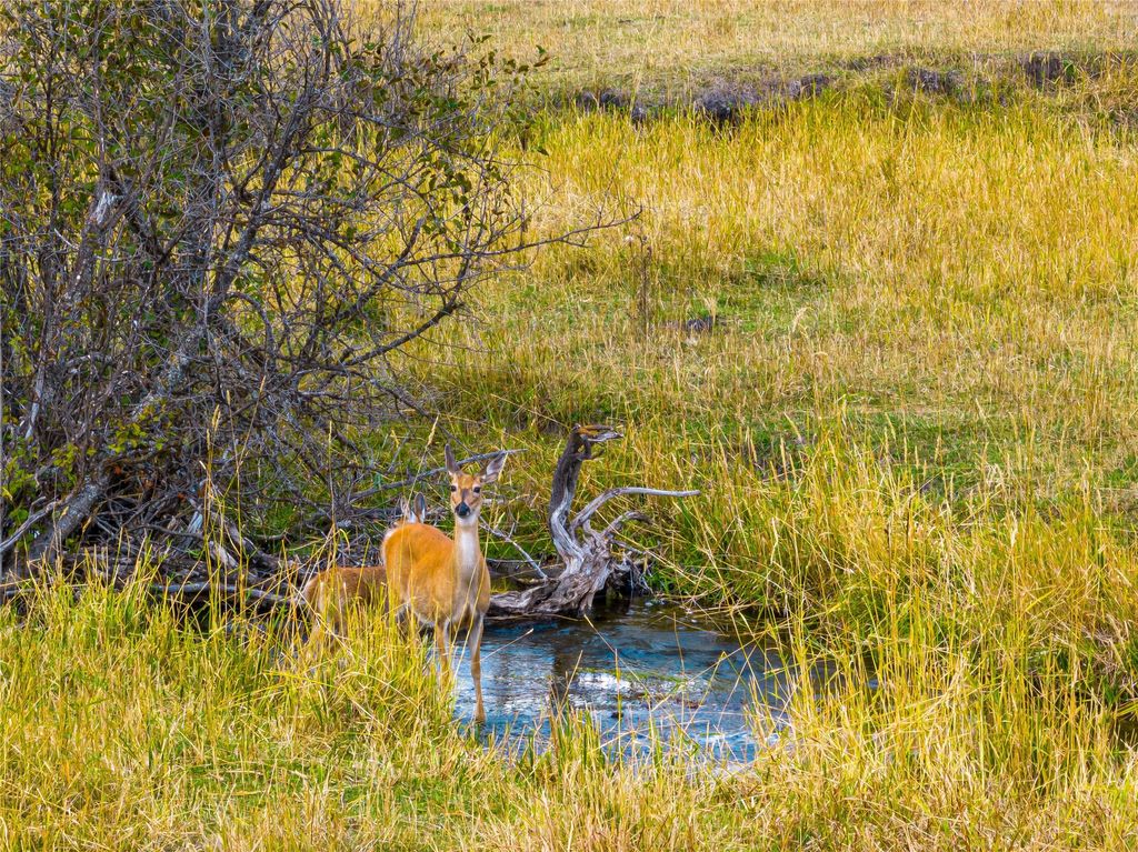 6820 E Fisher River Road, Libby, MT 59923 photo 23