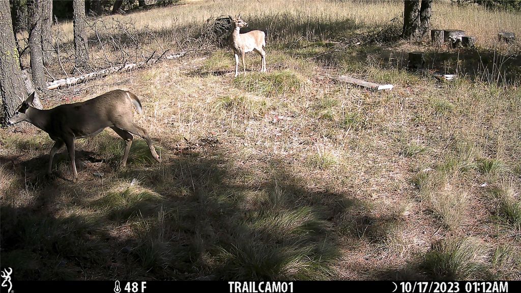 6820 E Fisher River Road, Libby, MT 59923 photo 32
