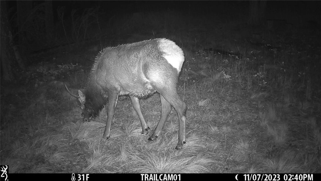 6820 E Fisher River Road, Libby, MT 59923 photo 34