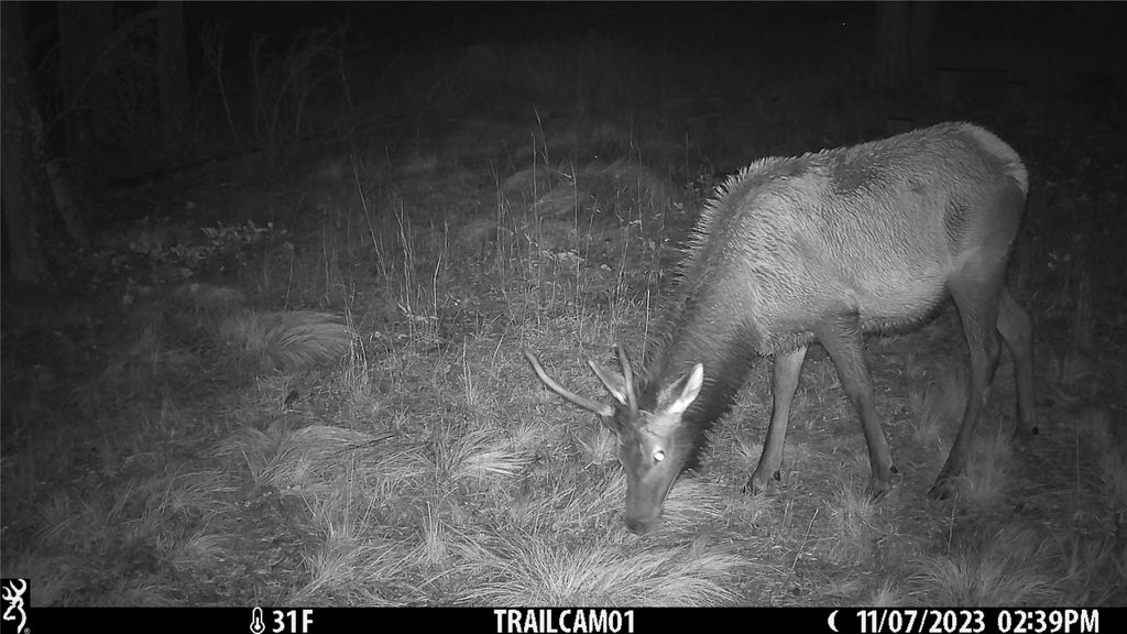 6820 E Fisher River Road, Libby, MT 59923 photo 35