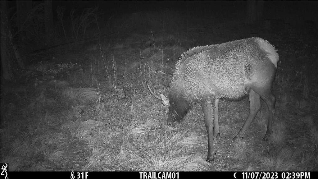 6820 E Fisher River Road, Libby, MT 59923 photo 36