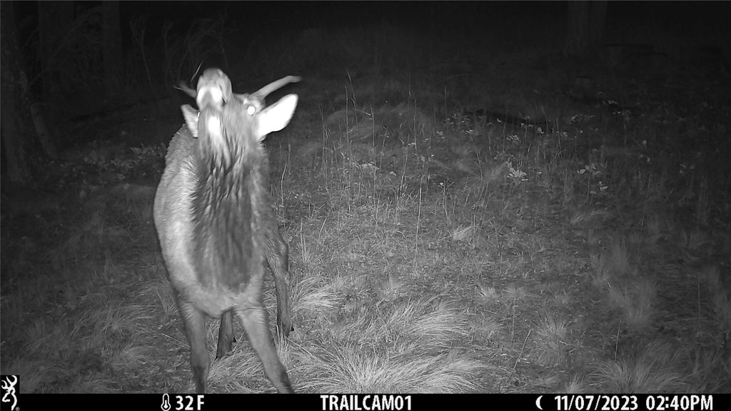 6820 E Fisher River Road, Libby, MT 59923 photo 37