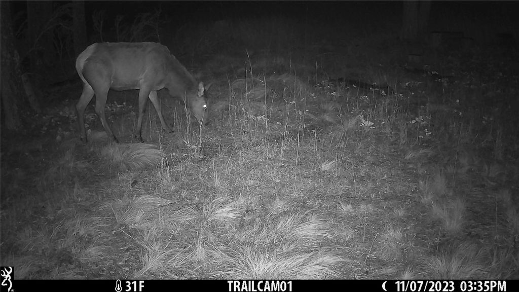 6820 E Fisher River Road, Libby, MT 59923 photo 38