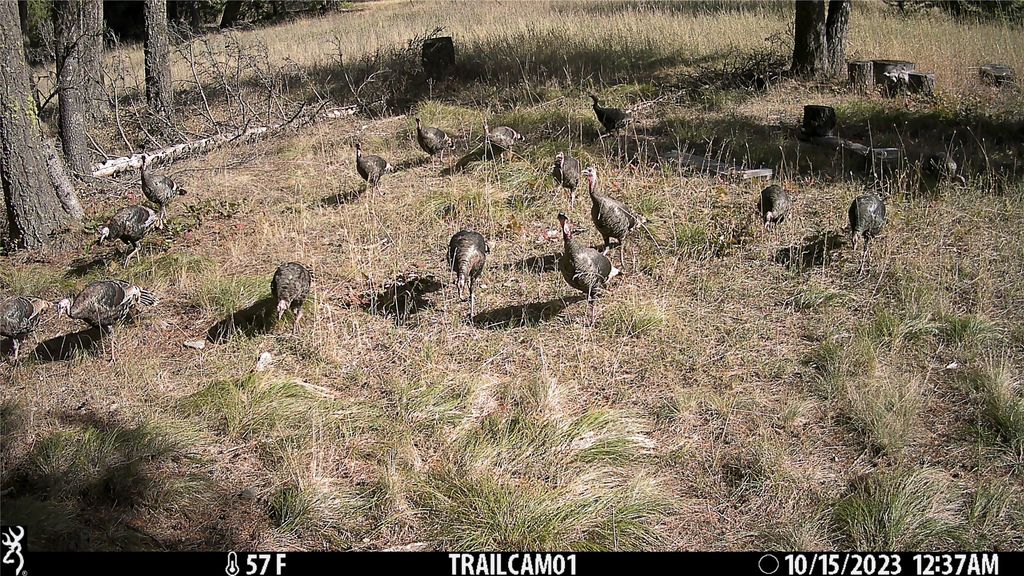 6820 E Fisher River Road, Libby, MT 59923 photo 39