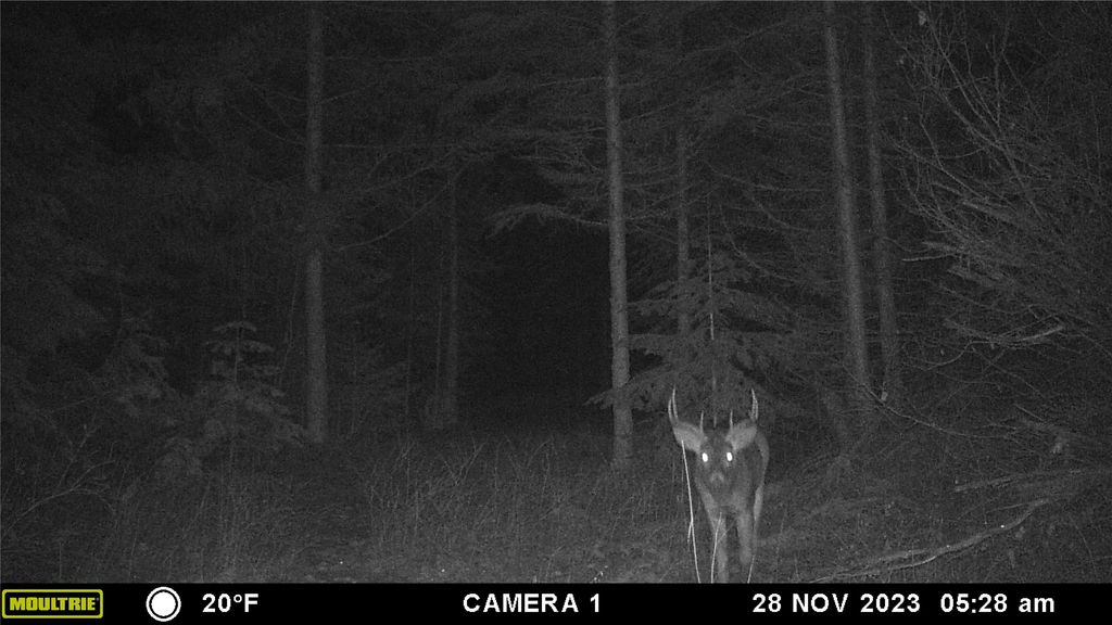 6820 E Fisher River Road, Libby, MT 59923 photo 40