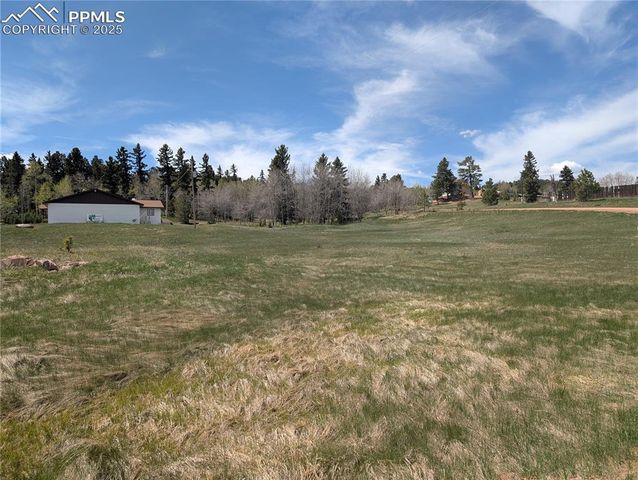 Lot83 + 84 Fountain Dale Lane, Divide, CO 80814