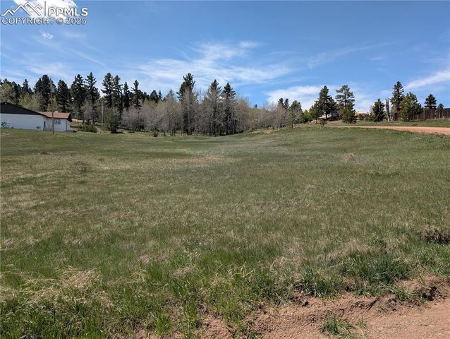 Lot83 + 84 Fountain Dale Lane, Divide, CO 80814