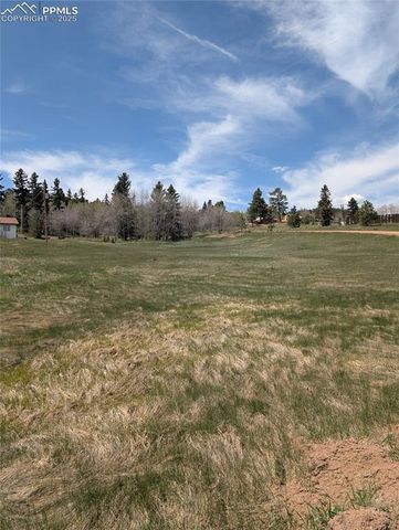 Lot83 + 84 Fountain Dale Lane, Divide, CO 80814