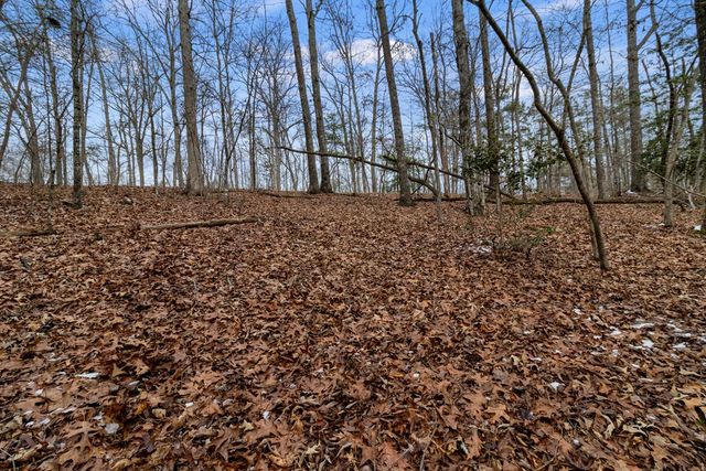 TR4 Curtis Ridge Road, Blue Ridge, GA 30513